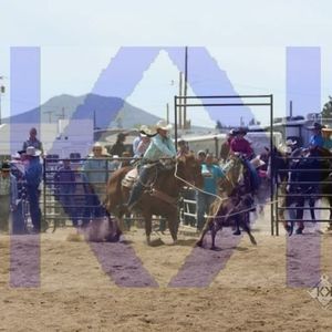 Meet your Posher, Elisa